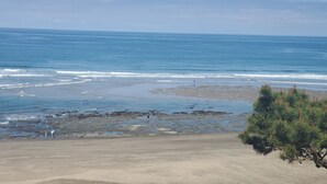 A beach with clear blue water, rocky shore, and sparse vegetation.