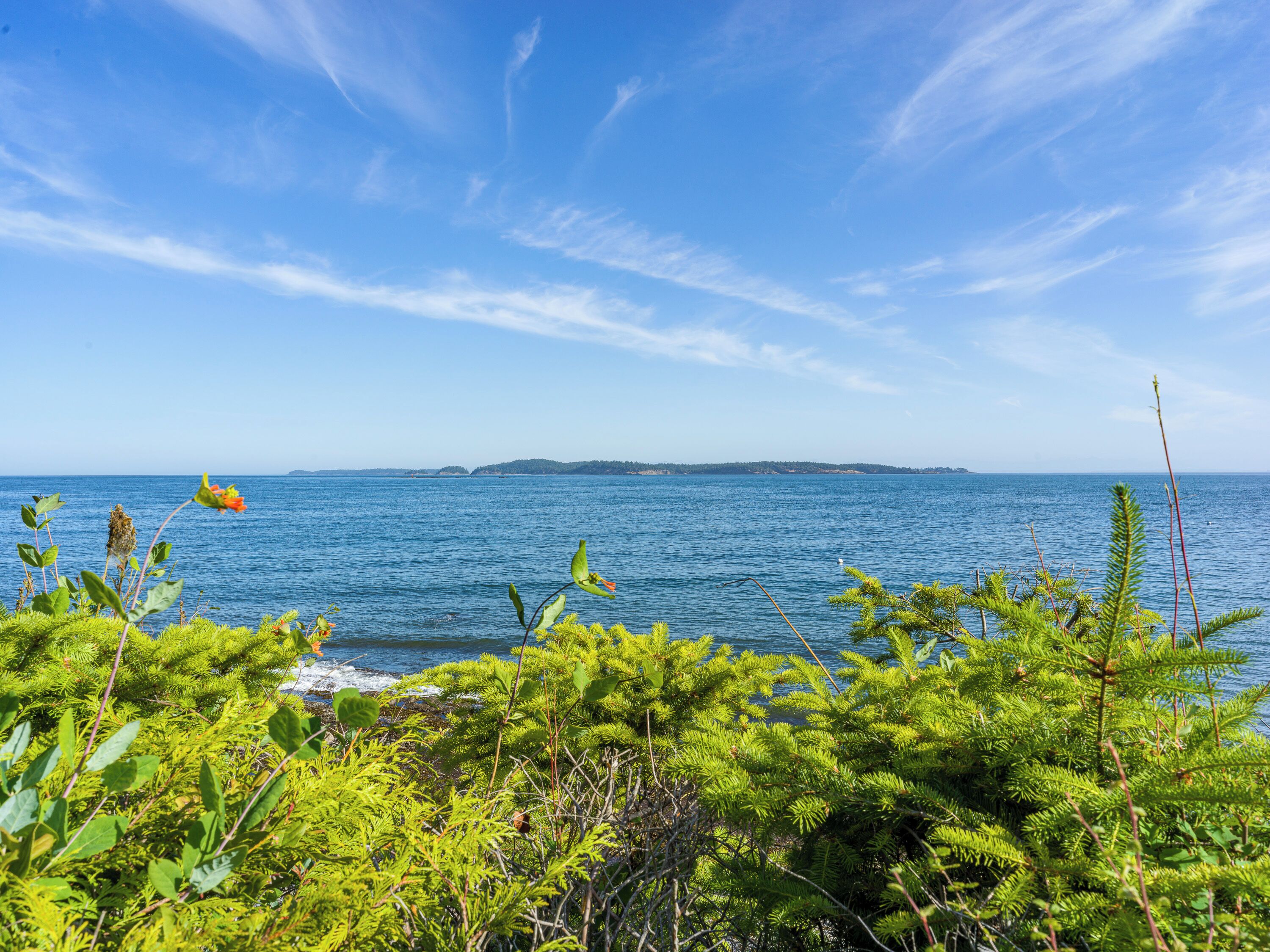 Un paysage côtier offrant une vue dégagée sur la mer, une île lointaine et une végétation luxuriante au premier plan.