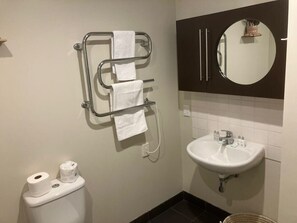 Shower, hair dryer