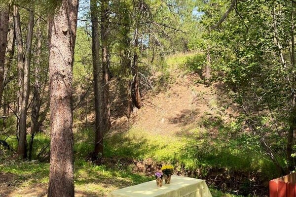 Servei de restauració a l'aire lliure