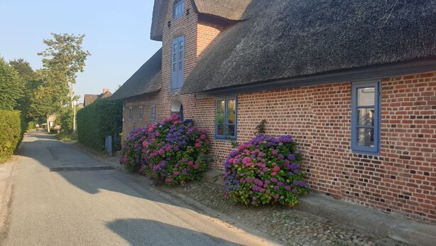 Un bâtiment en briques surmonté d’un toit de chaume, avec deux fenêtres dotées de volets bleus et des fleurs violettes devant.