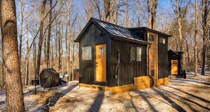 Tiny Home fire pit + hot tub + community game room