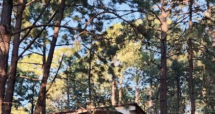 Ana Paula Cabin Mazamitla, Jal. In the forest (2.5 km from the Municipal Plaza)