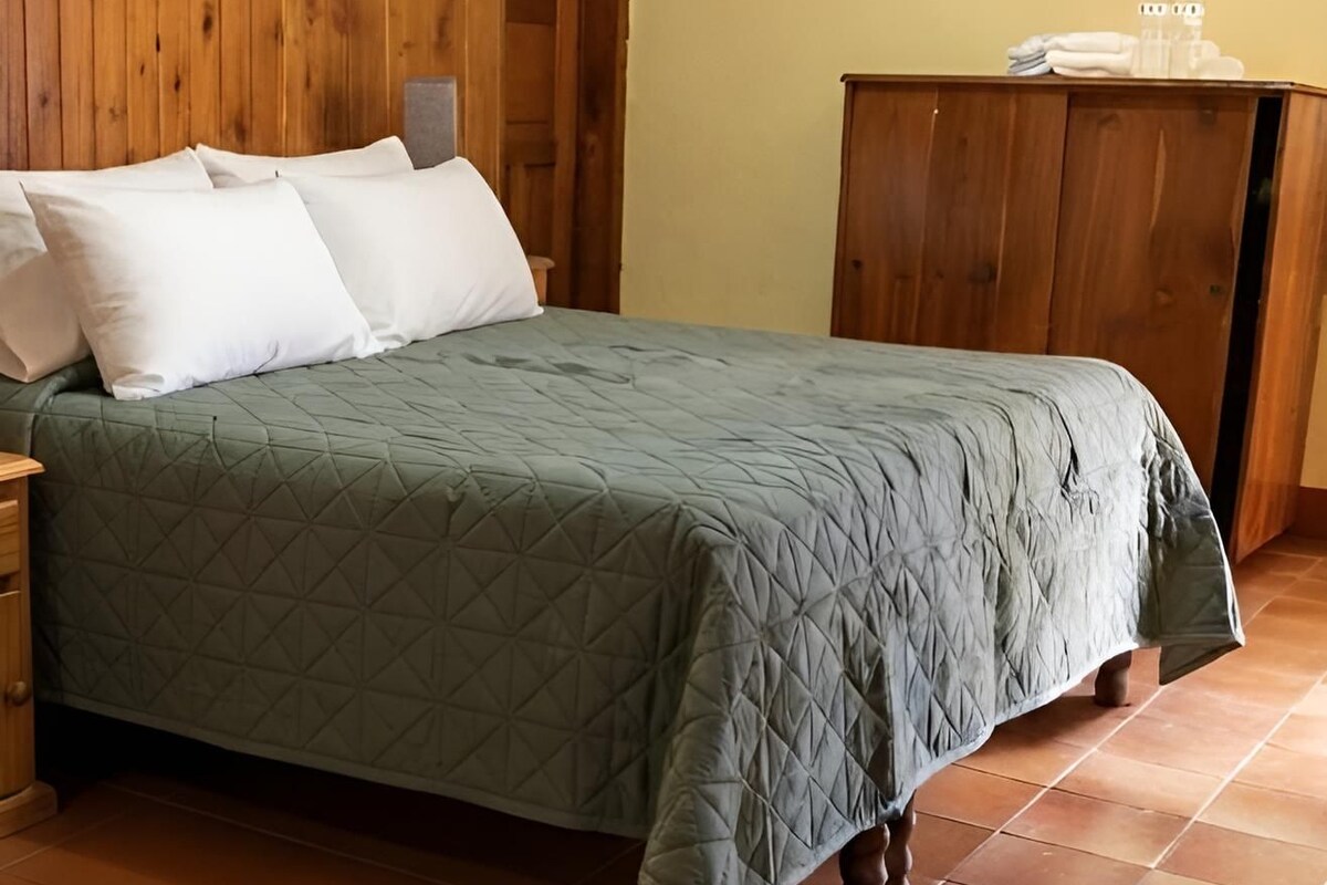 Habitación estándar | Edredón, escritorio, wifi gratis y ropa de cama