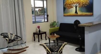 Furnished apartment, Excellent location, free parking