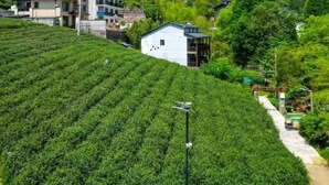 A hillside property with a large house and smaller structures, surrounded by lush green fields.