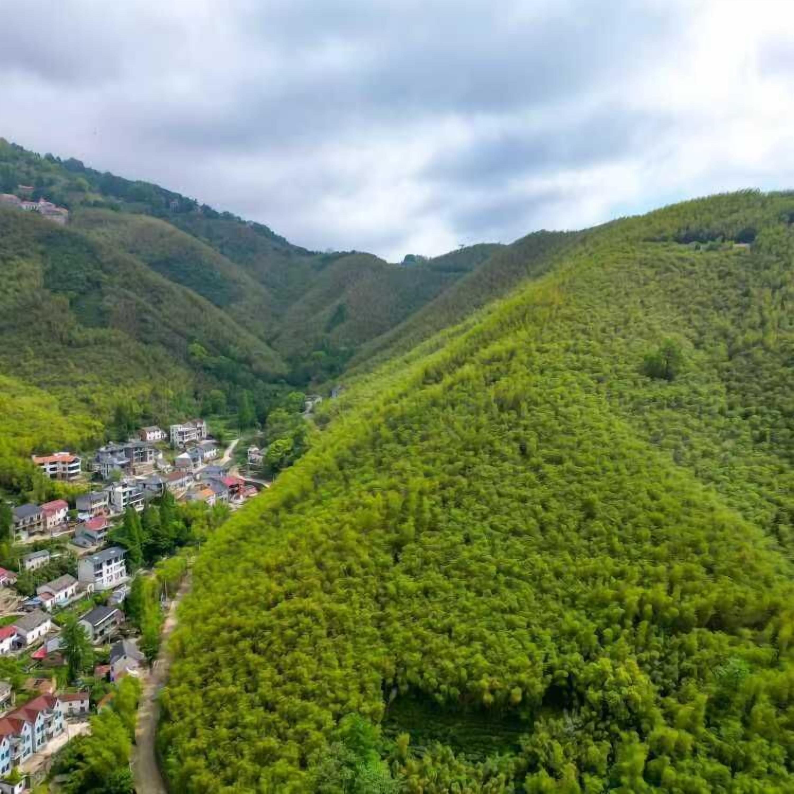 Um vale com vegetação verde densa e um pequeno povoado com edifícios altos.