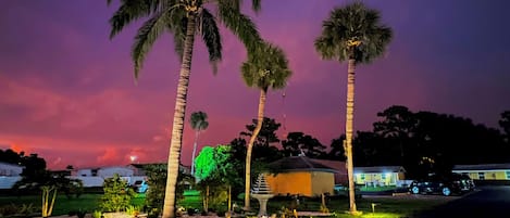 A nighttime scene with palm trees and a building with a dome roof.