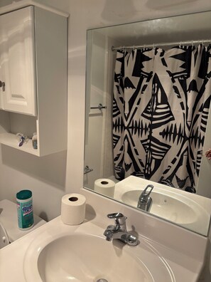 Hair dryer, towels, soap, toilet paper - Cozy 2-bedroom apartment in charming Silver Spring with AC, WiFi (Silver Spring)