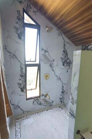 Regadera, toallas, jabón, shampoo 