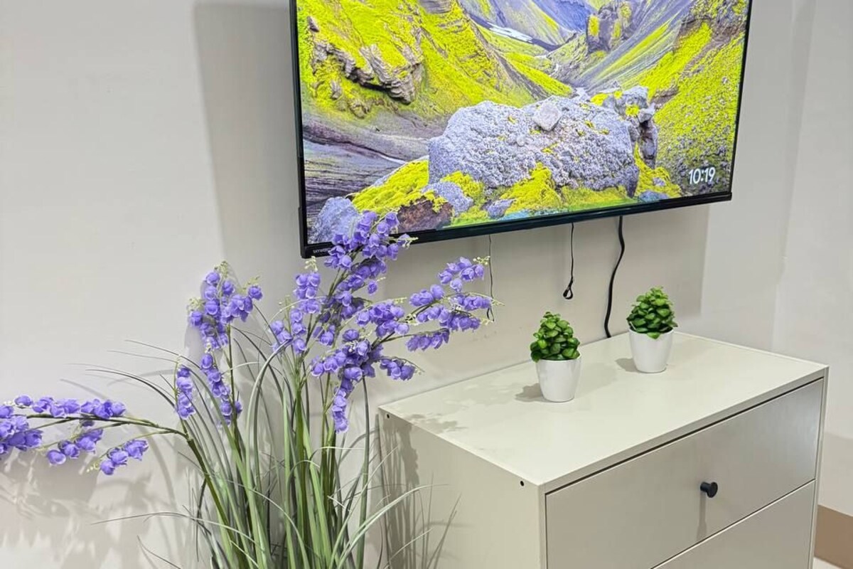 Un televisor de pantalla plana montado en una pared que muestra un paisaje montañoso, un armario blanco con cajones y una planta en maceta con flores moradas.