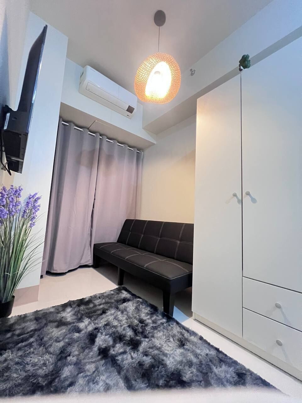 A room with a sofa, a wardrobe, a potted plant, and a ceiling light fixture.