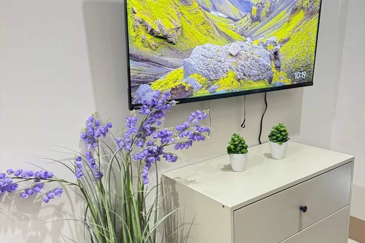 Ein Flachbildfernseher an der Wand, der eine Berglandschaft zeigt, eine weiße Kommode mit Schubladen und ein Blumentopf mit violetten Blüten.