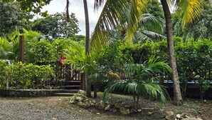 Um jardim com diversas plantas, um caminho de cascalho e uma estrutura de madeira.