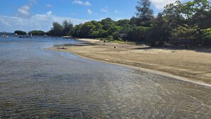 Uma praia com águas cristalinas e rasas, areal arenoso e vegetação densa ao fundo.