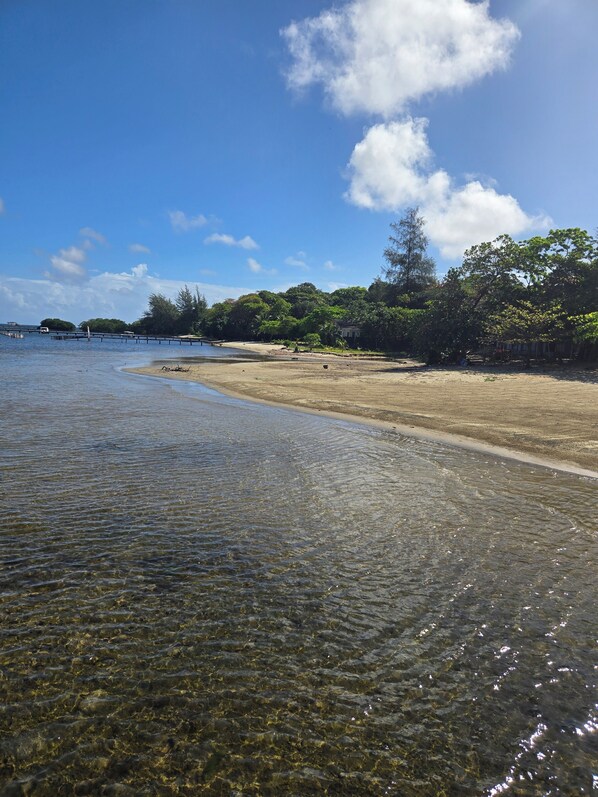A beach with clear shallow waters, a sandy shore, and dense greenery in the background.