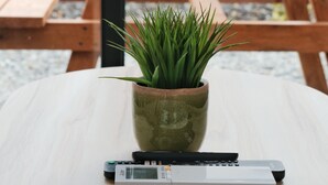 Eine Fernbedienung und ein Blumentopf auf einem runden Tisch.