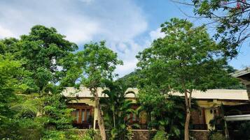 Chambre Deluxe avec lits jumeaux, balcon, vue jardin