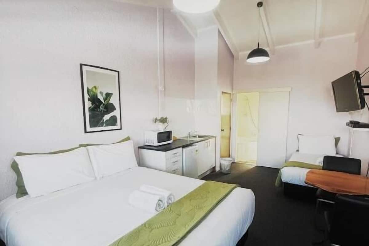 A hotel room with a large bed, a desk with a computer, a TV, and a plant on the wall.