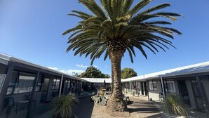 Un bâtiment avec un palmier au centre, des sièges à l’extérieur et un ciel dégagé.