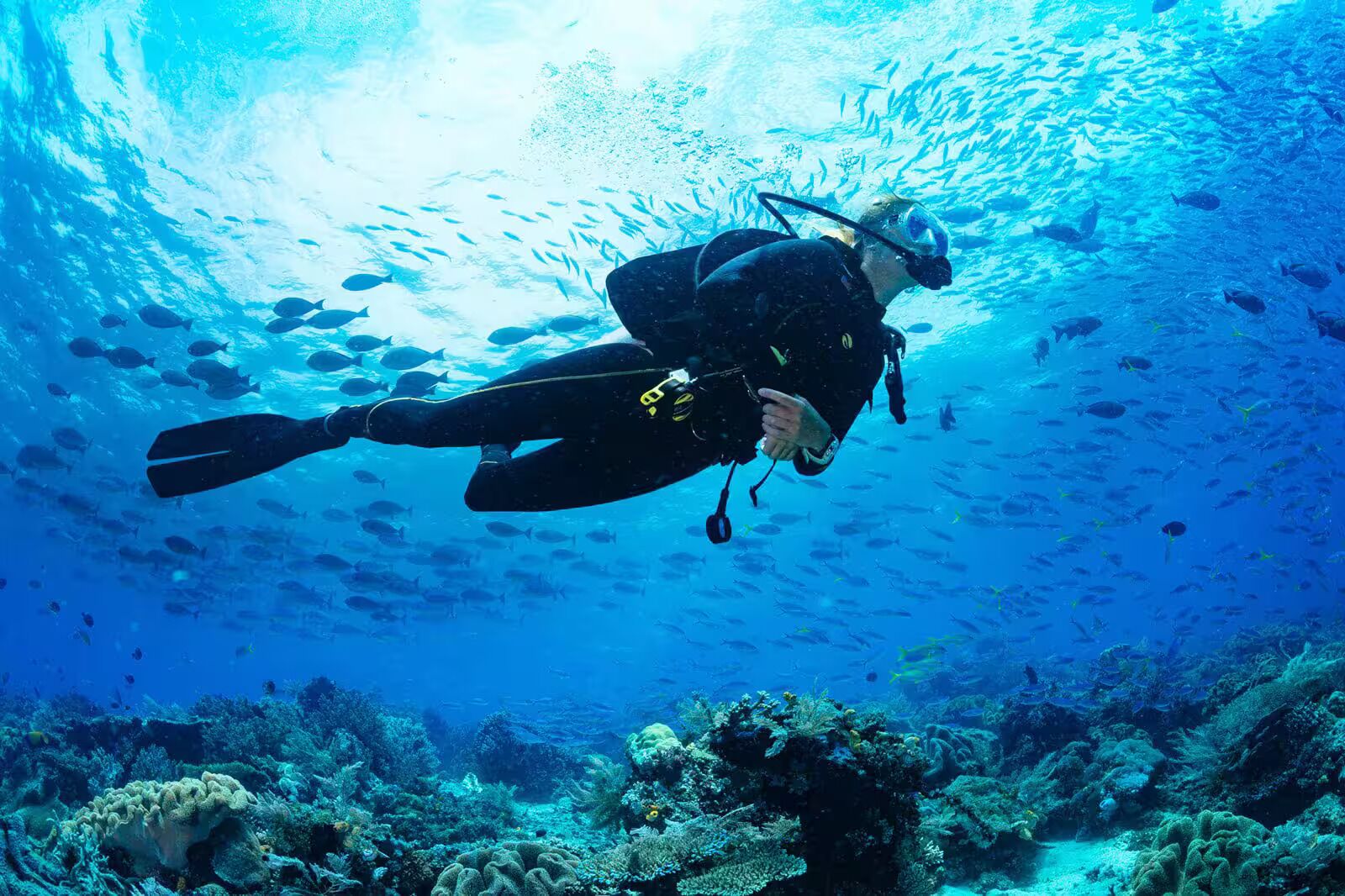 A diver in a black wetsuit with fins and a regulator, surrounded by a school of fish in a clear blue underwater environment.