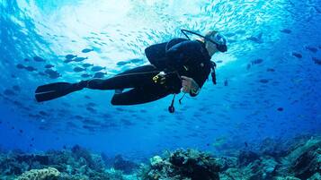 A diver in a black wetsuit with fins and a regulator, surrounded by a school of fish in a clear blue underwater environment.