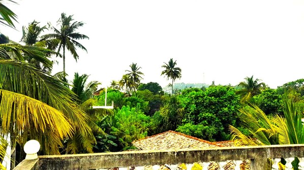 A house with a tiled roof surrounded by lush greenery and palm trees. - Sea Breeze Hotel (Mirissa)