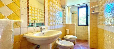 Hair dryer, towels, toilet paper