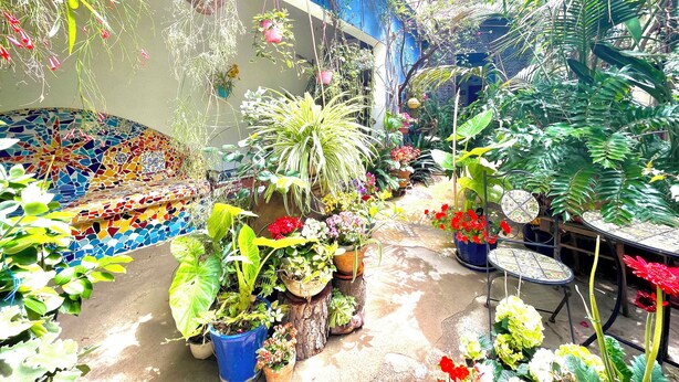 A vibrant indoor garden with various potted plants and a mosaic-tiled bench. - "  La  Corte   Azzurra  " (Bari Sardo)