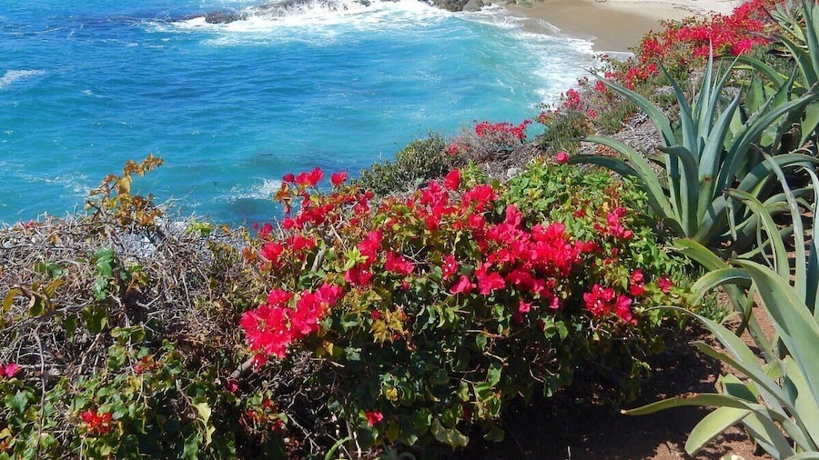 @marbella Lane - Stylish Dream Home in RMV w/ Pool