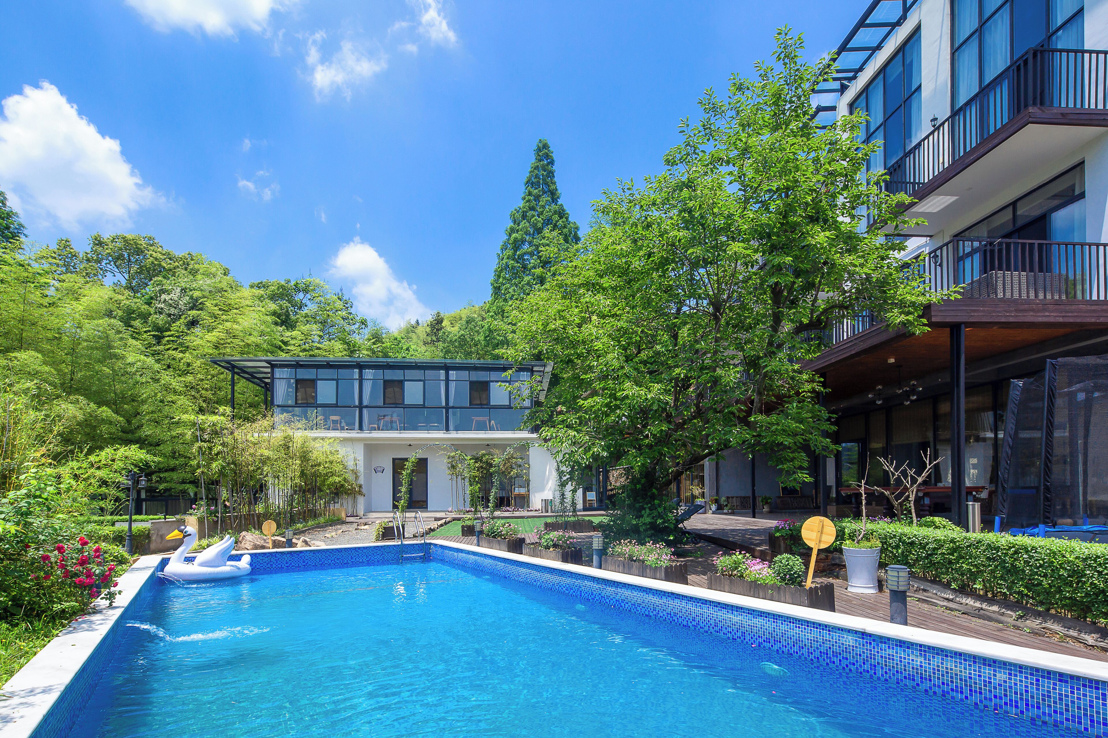 A swimming pool with a swan float, surrounded by lush greenery and modern buildings.