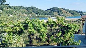 Blick auf ein Weinberg mit einem Steinhaus und einem See im Hintergrund.