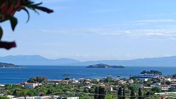 Luxury Villa, 1 Bedroom | View from room