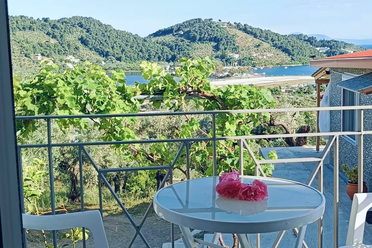 A balcony with a table and chairs, overlooking a vineyard and a lake.