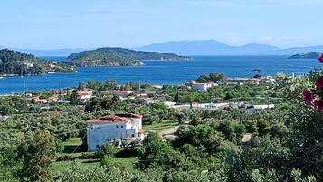 Luxury Villa, 1 Bedroom | Premium bedding, blackout drapes, iron/ironing board, free WiFi