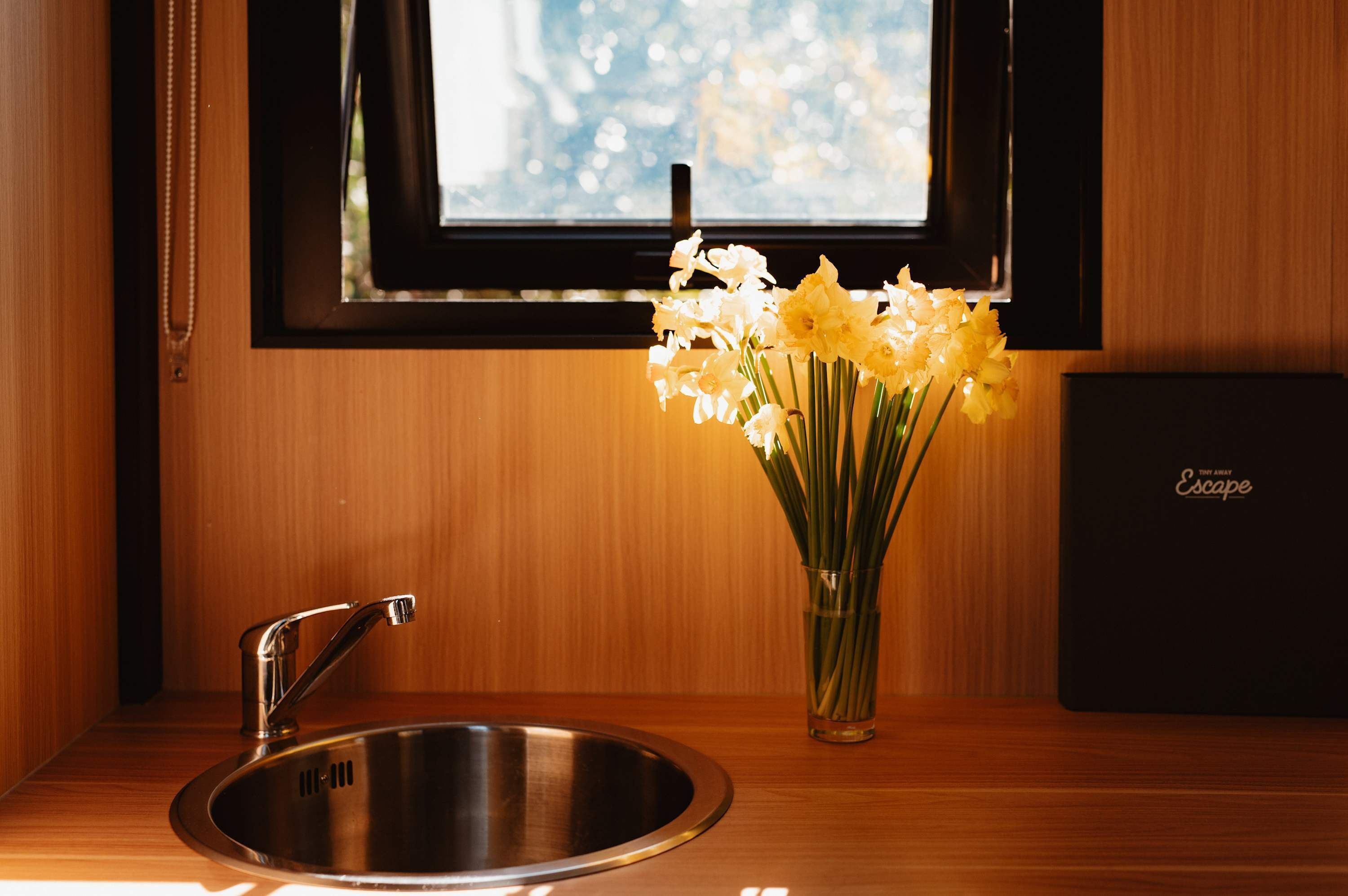 A kitchen with a stainless steel sink, a vase with yellow flowers, and a black box labeled "Escape" on the counter.