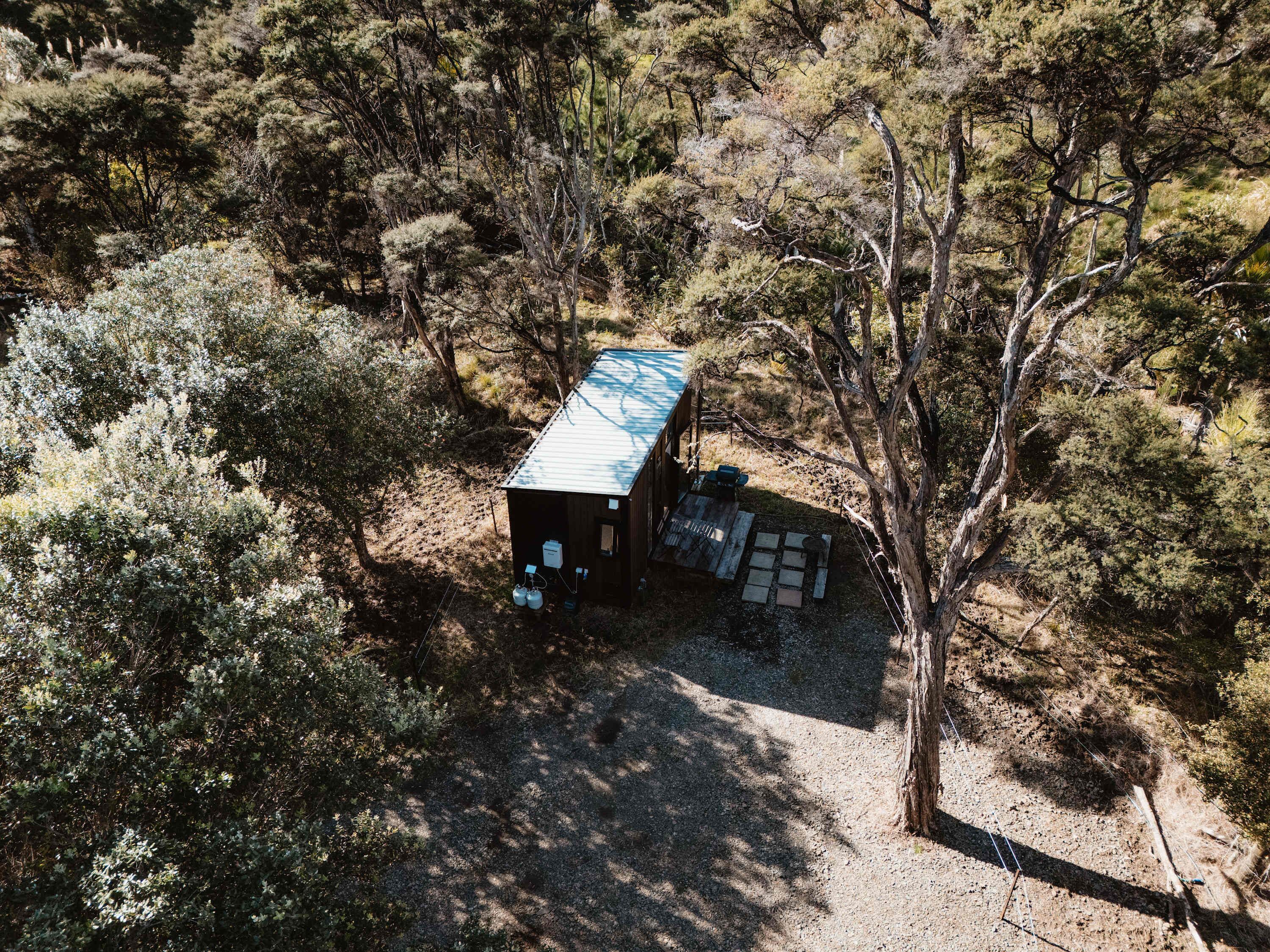 A small cabin with a metal roof, surrounded by dense trees and shrubs.