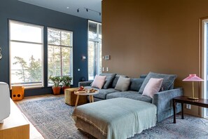 テレビ、暖炉、ステレオ