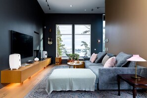 TV, fireplace, stereo