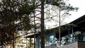 En träbelagd gångväg leder fram till en modern byggnad med stora fönster, omgiven av träd och en naturlig landskapsmiljö.