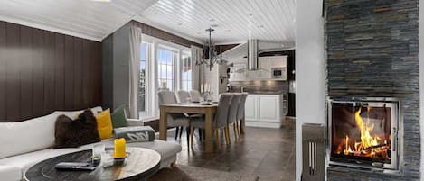 Télévision, cheminée, espaces bureaux