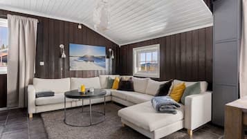 TV, caminetto, studio