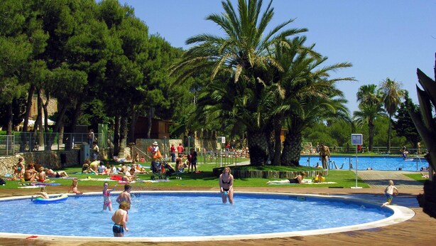 Une piscine entourée de palmiers et de personnes.