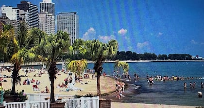 Gilded Age Gold Coast Mansion with Parking, Deck, Fireplaces