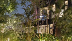 Edificio moderno con un jardín bien cuidado que presenta diversas plantas tropicales e iluminación decorativa.