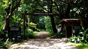A pathway leading to a sanctuary with a sign reading "UDAWATTA KELE SANCTUARY" and a ticket booth. - Lake Villas Premium Kandy (Kandy)