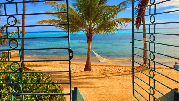 Une vue sur la plage, encadrée par un portail en métal, avec un hamac et des palmiers.