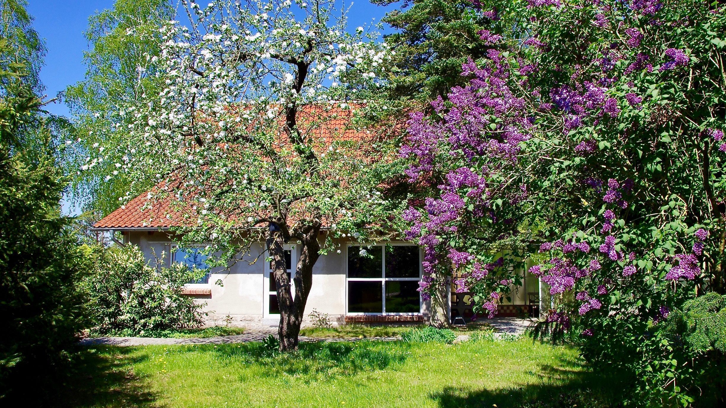 Ferienhaus Am Wald in Basedow