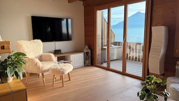 Smart TV, fireplace, video games, books