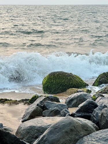 Neat & Clean Apartment, WiFi & AC in Mangaluru Close To The Beach